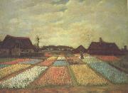 Vincent Van Gogh Bulb Fields (nn04) Sweden oil painting artist